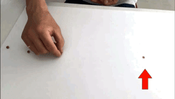 ЦʺPʺٮ؈ZԼفy؈؈Ȼ