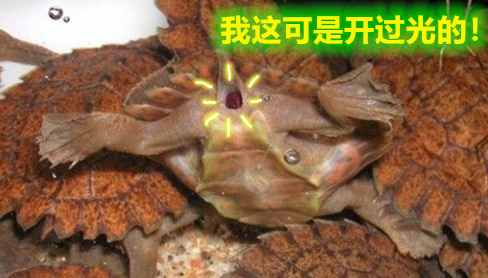 ɶ؈жĚ_؈׵öu