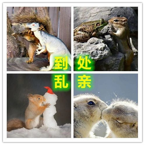 ɶ؈жĚ_؈׵öuۣ