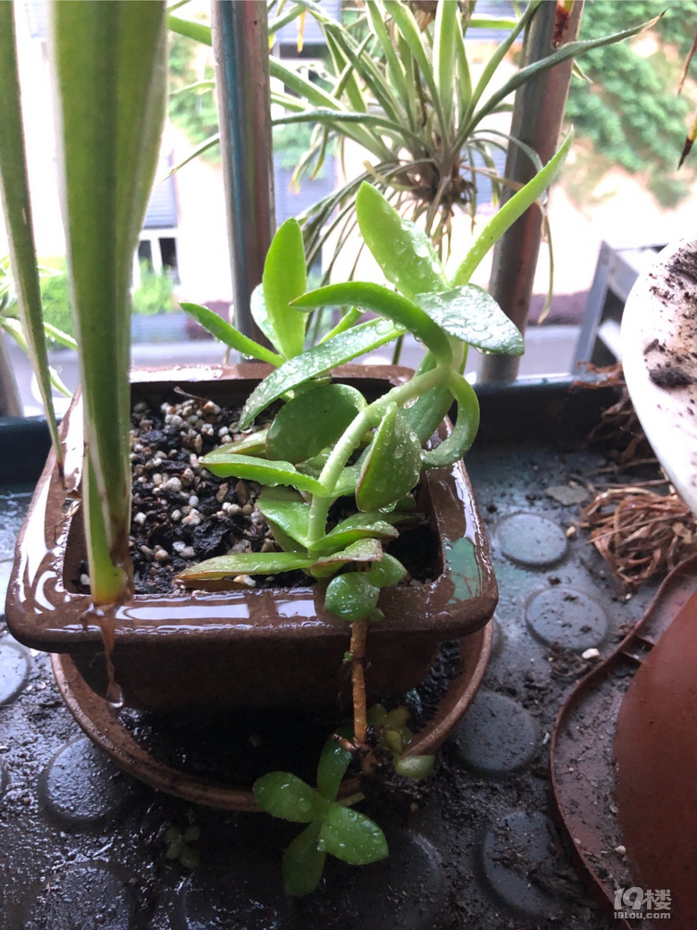 ...l(f)(g)J(rn)挤