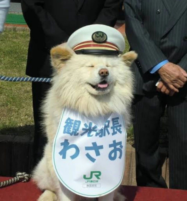 ձ˚ĳվL(zhng)...W(wng)ѺḮeKں