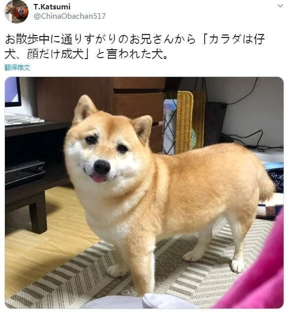 ·urСw˵Ę@yǿ...