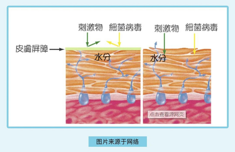 得罪女明星，我也要吐槽的美容方法！