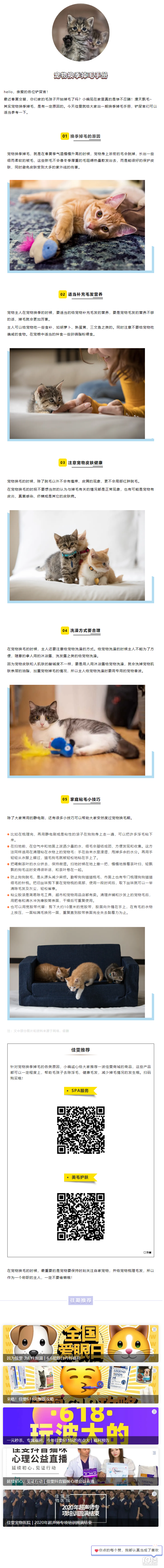 納尼？滿屋都是貓毛狗毛！佳雯寵物換季掉毛手冊大公開