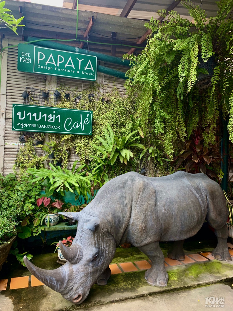 PapayaĹŶ̫@Ӡˣ쿴^