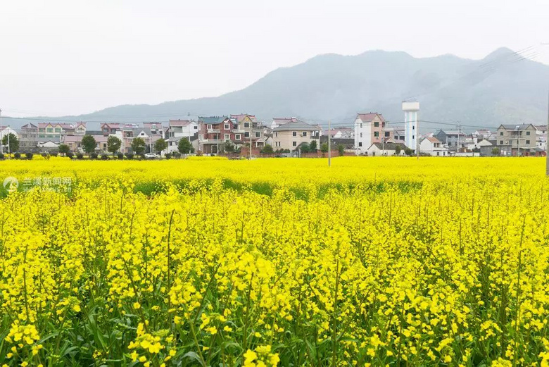 天氣熱了去哪玩？浙江這些天然氧吧你一定要知道！