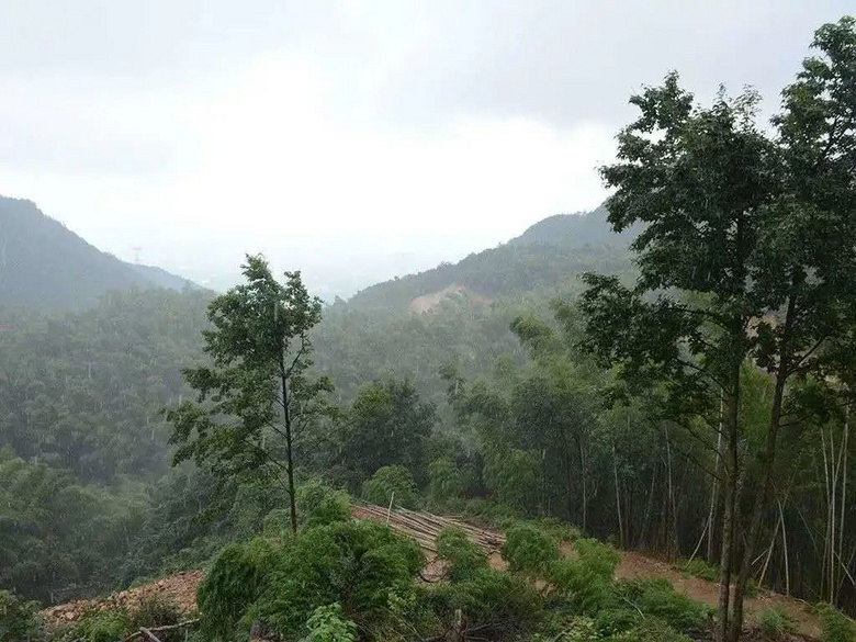 天氣熱了去哪玩？浙江這些天然氧吧你一定要知道！