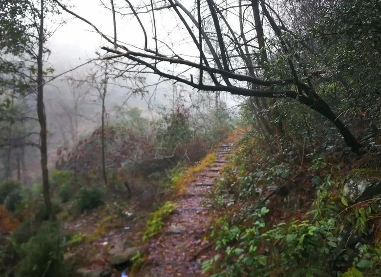 天氣熱了去哪玩？浙江這些天然氧吧你一定要知道！