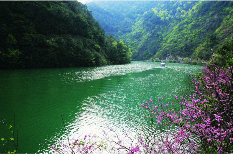 天氣熱了去哪玩？浙江這些天然氧吧你一定要知道！