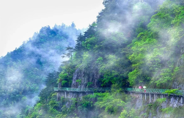 天氣熱了去哪玩？浙江這些天然氧吧你一定要知道！