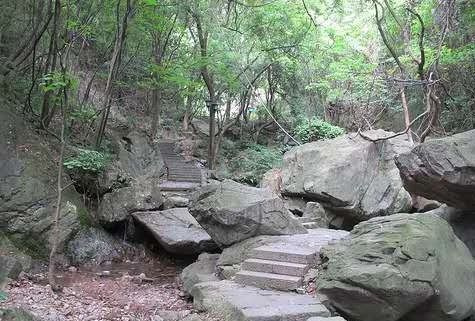 天氣熱了去哪玩？浙江這些天然氧吧你一定要知道！