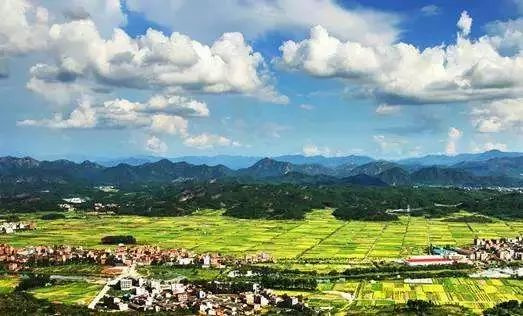 天氣熱了去哪玩？浙江這些天然氧吧你一定要知道！