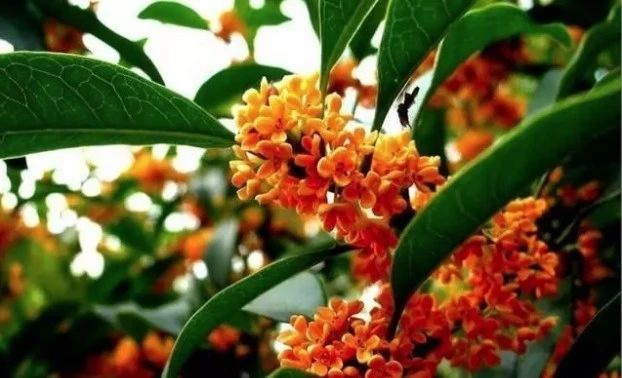 天氣熱了去哪玩？浙江這些天然氧吧你一定要知道！