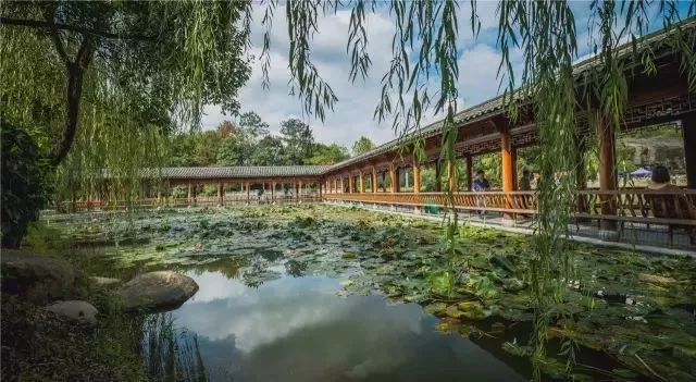 天氣熱了去哪玩？浙江這些天然氧吧你一定要知道！