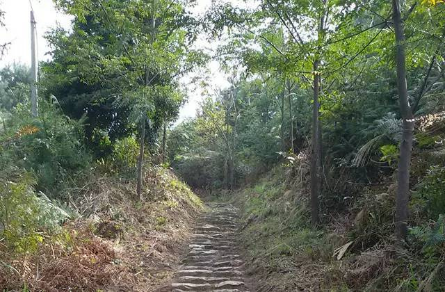 天氣熱了去哪玩？浙江這些天然氧吧你一定要知道！