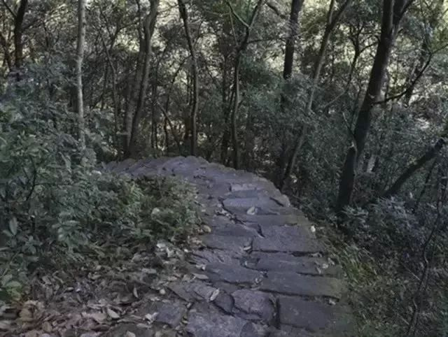 天氣熱了去哪玩？浙江這些天然氧吧你一定要知道！