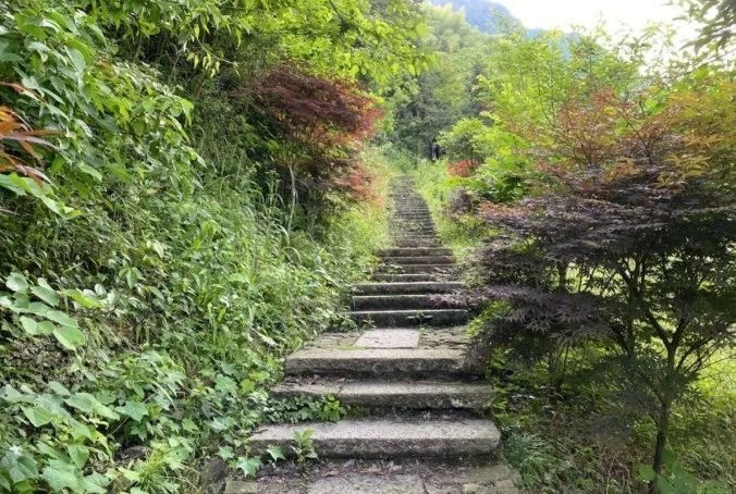 天氣熱了去哪玩？浙江這些天然氧吧你一定要知道！