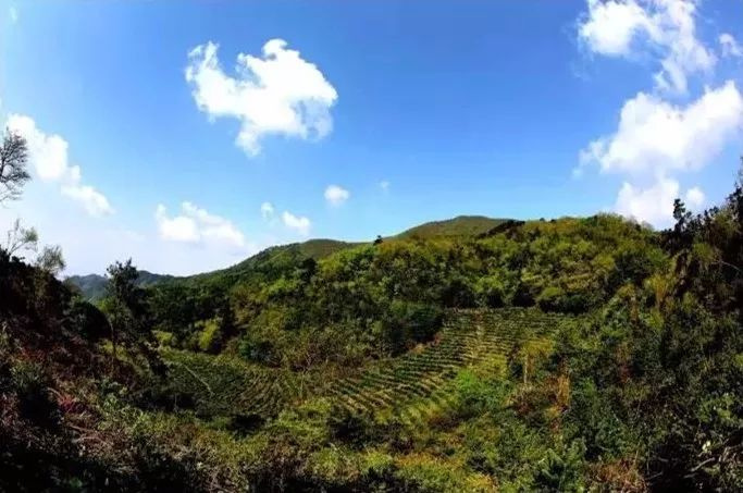 天氣熱了去哪玩？浙江這些天然氧吧你一定要知道！