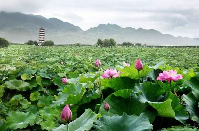 天氣熱了去哪玩？浙江這些天然氧吧你一定要知道！