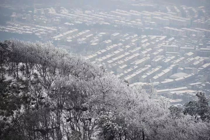 天氣熱了去哪玩？浙江這些天然氧吧你一定要知道！