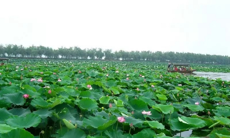 天氣熱了去哪玩？浙江這些天然氧吧你一定要知道！