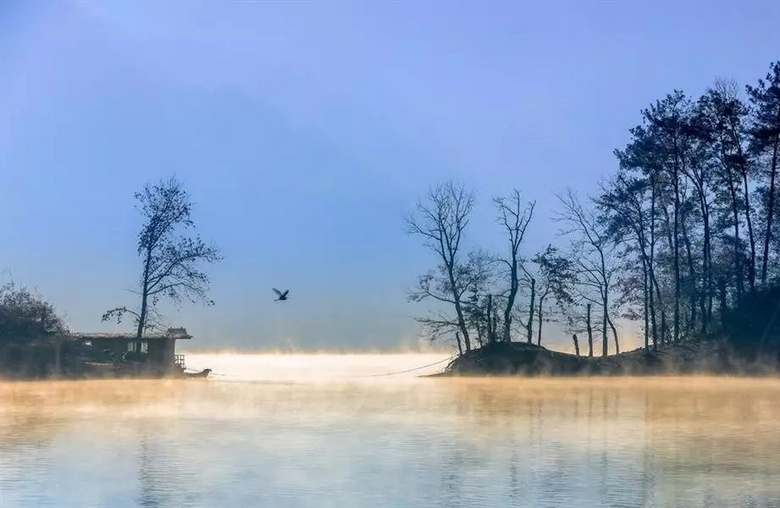 天氣熱了去哪玩？浙江這些天然氧吧你一定要知道！