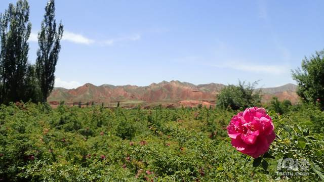 2019繝(ji) т{