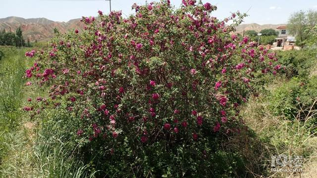 2019繝(ji) т{