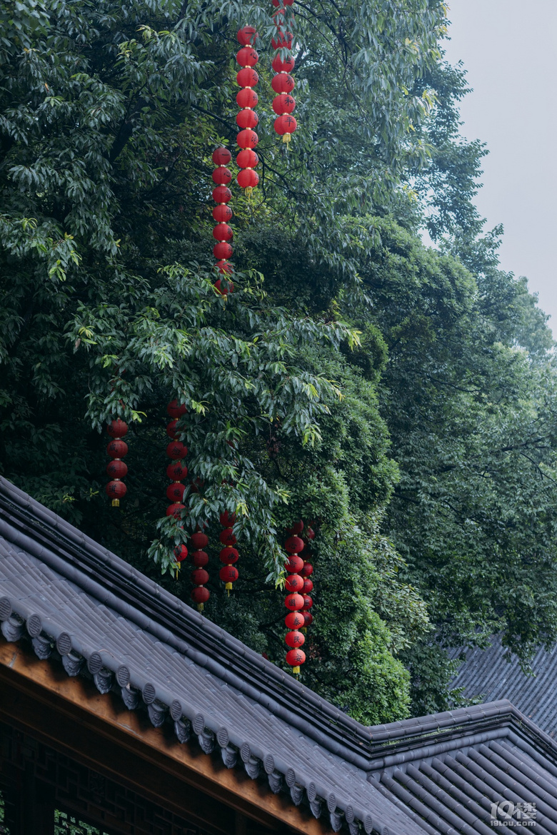 有所求