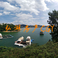 鿴ß
