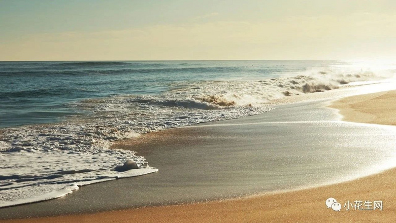 ңЮa(chn)7f(wn)m͵ʲôӵ罻Ȧ