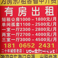 鿴ß