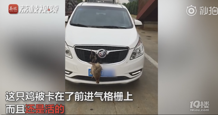 ړ̖(ho)ҰuM(jn)܇?yn)ס?ho)