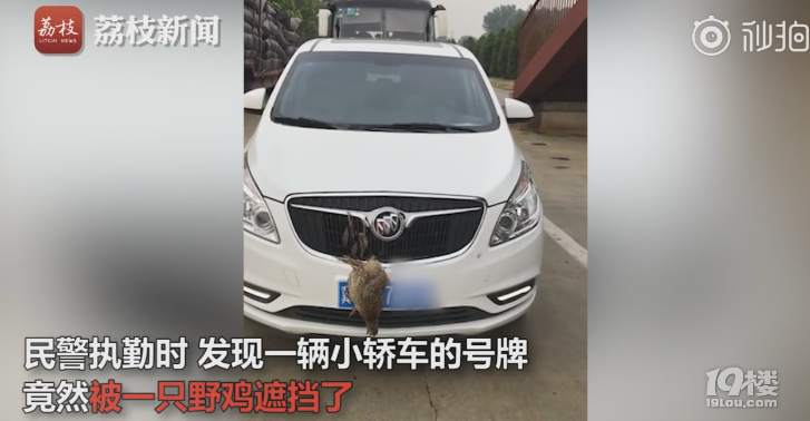 ړ̖(ho)ҰuM(jn)܇?yn)ס?ho)