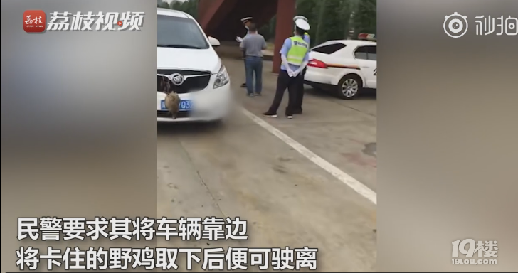 ړ̖(ho)ҰuM(jn)܇?yn)ס?ho)