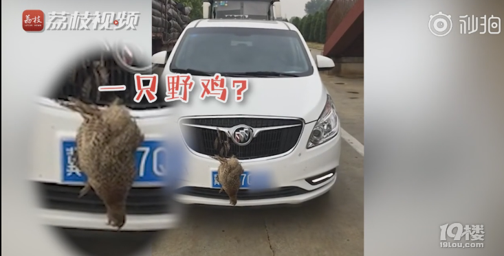 ړ̖(ho)ҰuM(jn)܇?yn)ס?ho)