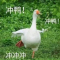 ߿ڶ죬λ^m(x)