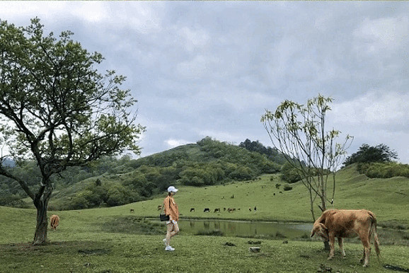 《愛情公寓》小姨媽都來打卡的神秘海子，自帶北歐電影濾鏡！