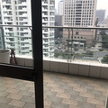 鿴ß