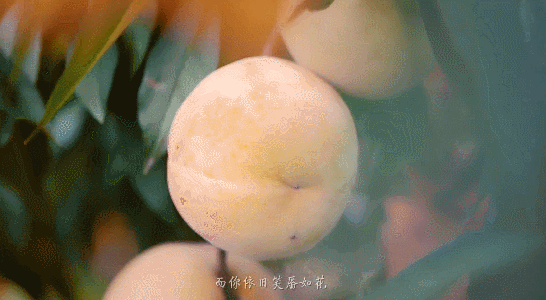 @|С7¸߶ȣһwˮ