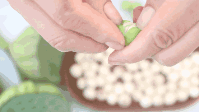 浙江少有人知的低調(diào)小城，古村落比松陽(yáng)還野，舌尖美味更甚廣州