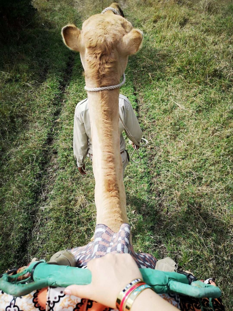 i(li)Ŀ(dng)﷽ʽ϶](mi)^(gu)