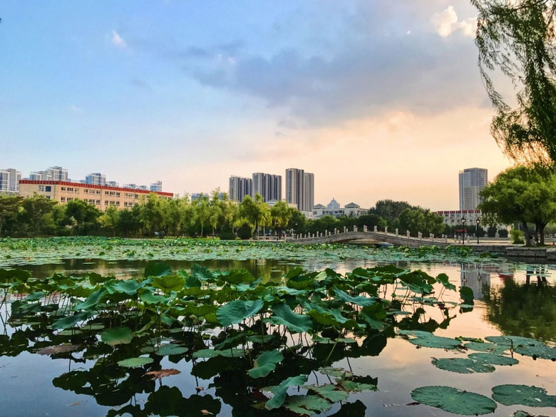 比墾丁低調(diào)，比鐮倉仙氣的海濱老城