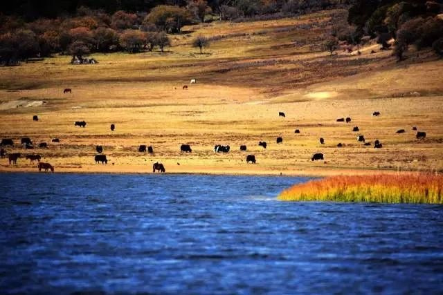 mеĞа