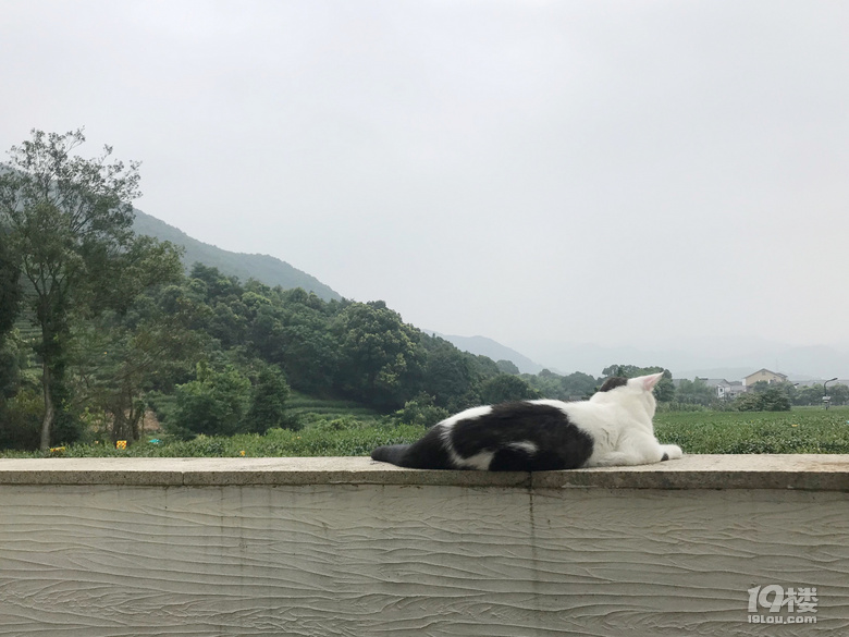 һlк@[زfS1500f
