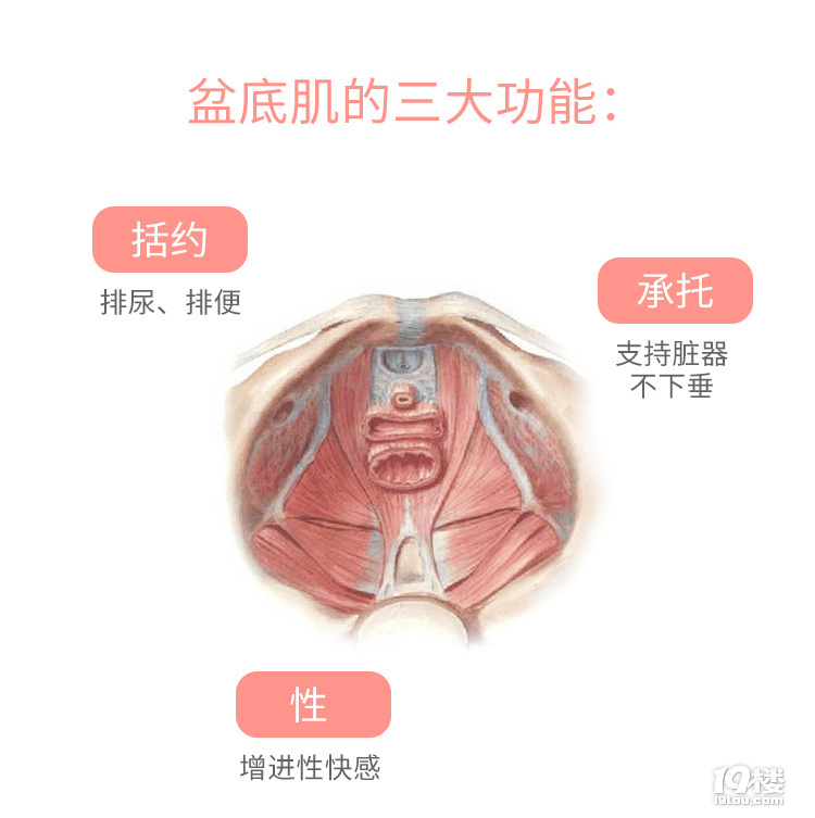 ׼ޏ(f)׌a(chn)׃ءС㡱