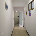 鿴ß