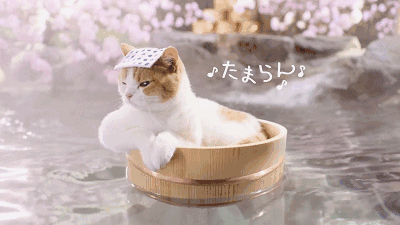 ¹uϦZ״l(xing)һ(g)m