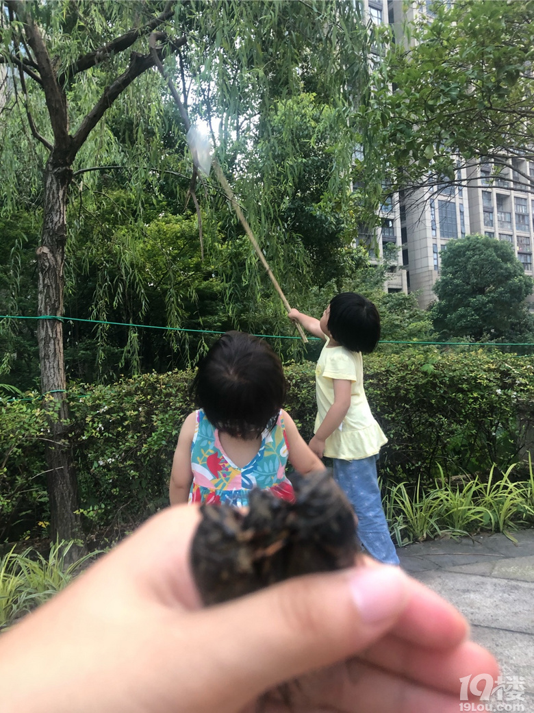 ]뵽ҕ(hu)ͽץ֪ˡӢZnؼ߀Ҋ˰]