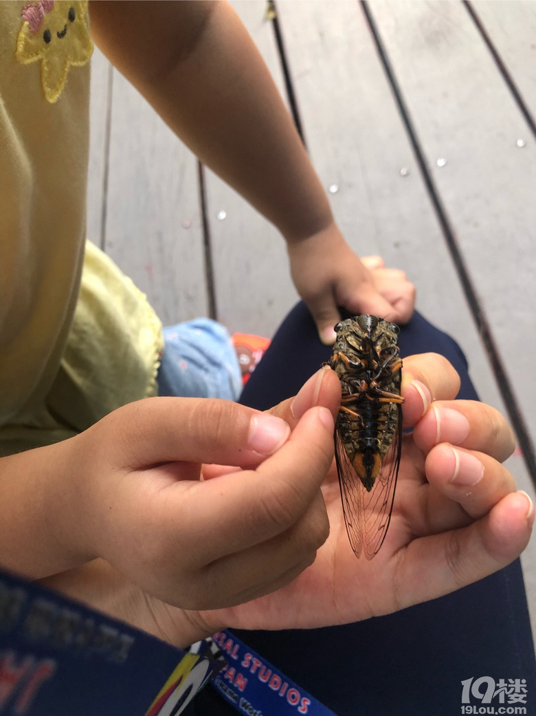 ]뵽ҕ(hu)ͽץ֪ˡӢZnؼ߀Ҋ˰]